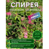 Спирея розовая / опт 200 штук
